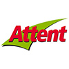 Attent